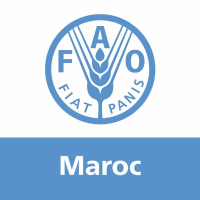 FAO lance 5 appels à consultation