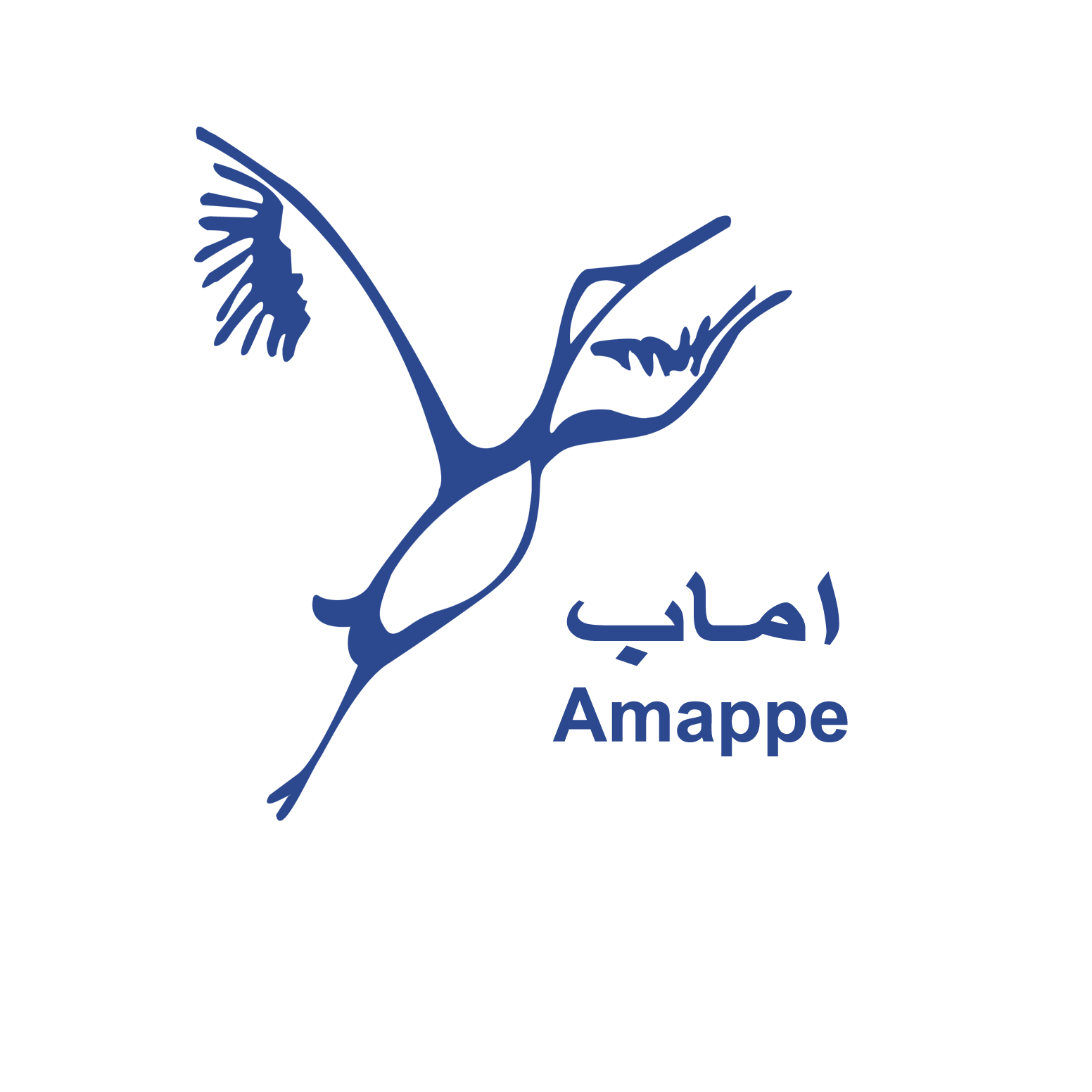 AMAPPE recrute plusieurs profils