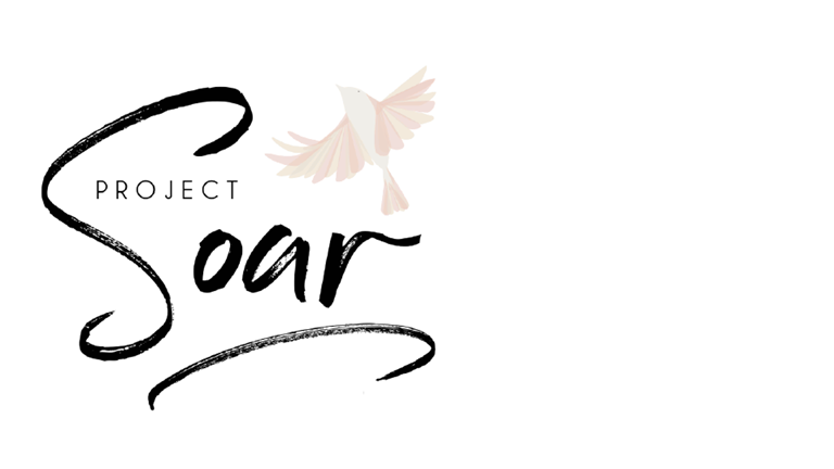 Project Soar Programs Coordinator