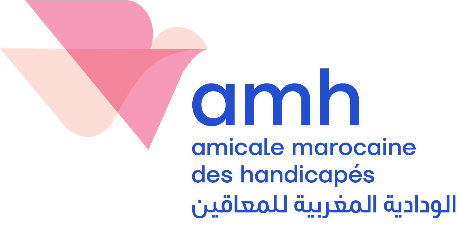 Réalisation d’une étude de mesure d’impact et mise en place d’un dispositif de suivi-évaluation