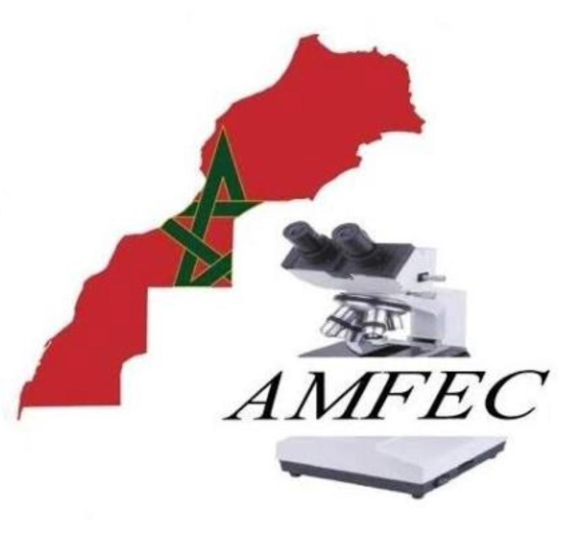 Réalisation d'une étude diagnostique régionale sur l'accès et les conditions de l'éducation inclusive des enfants en situation de handicap dans la région Béni Mellal-Khénifra